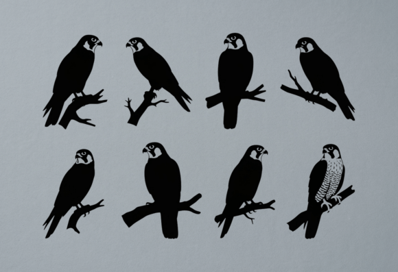 Strategic Branding with Peregrine Falcon Silhouette SVG Clipart